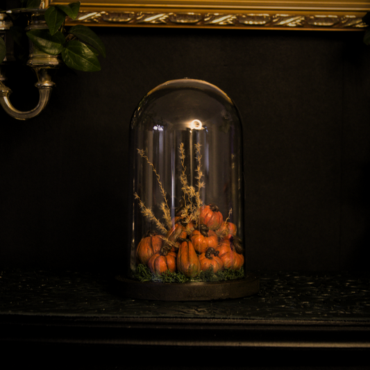 Petite Cloche Automnale – Mont de Citrouilles et Plantes Séchées